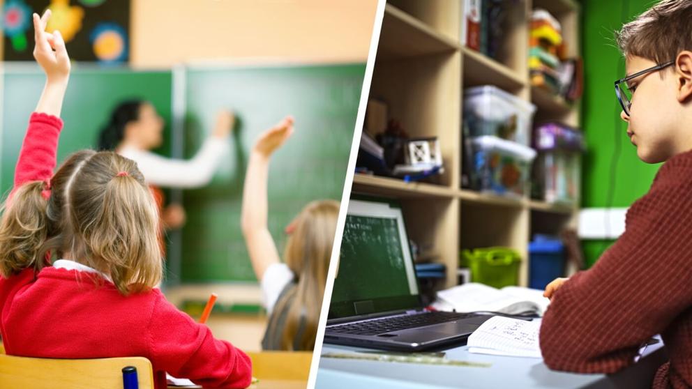 Els centres educatius han hagut d’adaptar-se a la formació virtual com a conseqüència de la pandèmia de coronavirus.(Acer)
