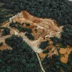 Desforestació global