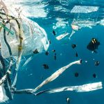 Plàstics al Mediterrani