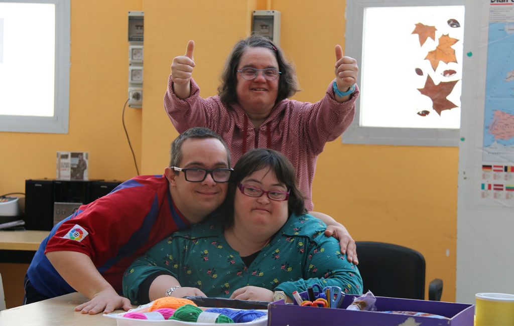 Discapacitat intel·lectual