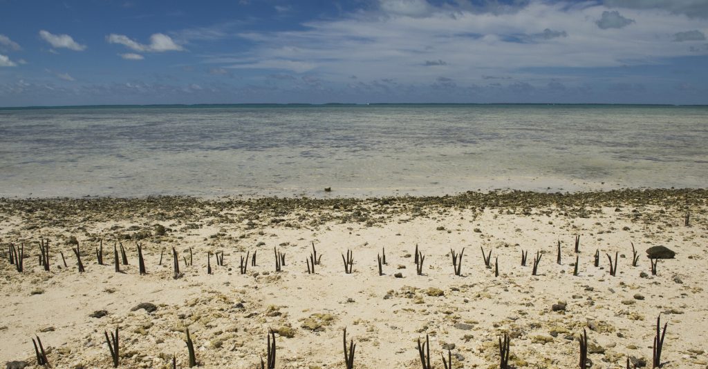 Desigualtat climàtica