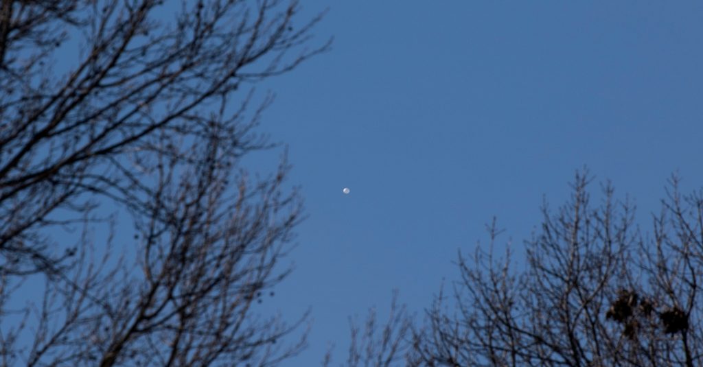 Globus espia xinès