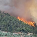 La Mediterrània està patint intensos incendis forestals. A la foto, imatge d'arxiu d'incendi forestal a Grècia (Lotus R/WikiCommons)