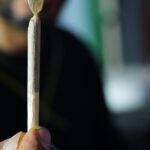 El cànnabis és especialment perillós en persones joves, embarassades i conductors Pixabay