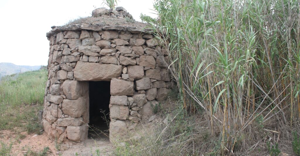 La Barraca de Pere Roll al municipi de Puig-reig (Berguedà) és una barraca de vinya (Quim Puig/Wikipedia)