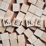 Revisem les notícies falses de la campanya nord-americana/Canva