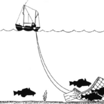 La tècnica d’arrossegament utilitza una gran xarxa per a realitzar les captures/NOAA-Wikimedia Commons