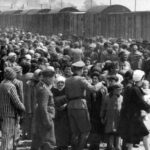 Selecció de presos a Auschwitz II-Birkenau (maig-juny de 1944)/Bernhard Walter/Wikimedia Commons