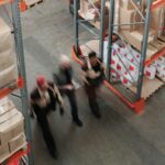 Empreses que exporten (Foto: pexels tiger lily)