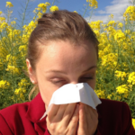 Al voltant de vuit milions de persones a Espanya són al·lèrgiques al pol·len (Pxhere)