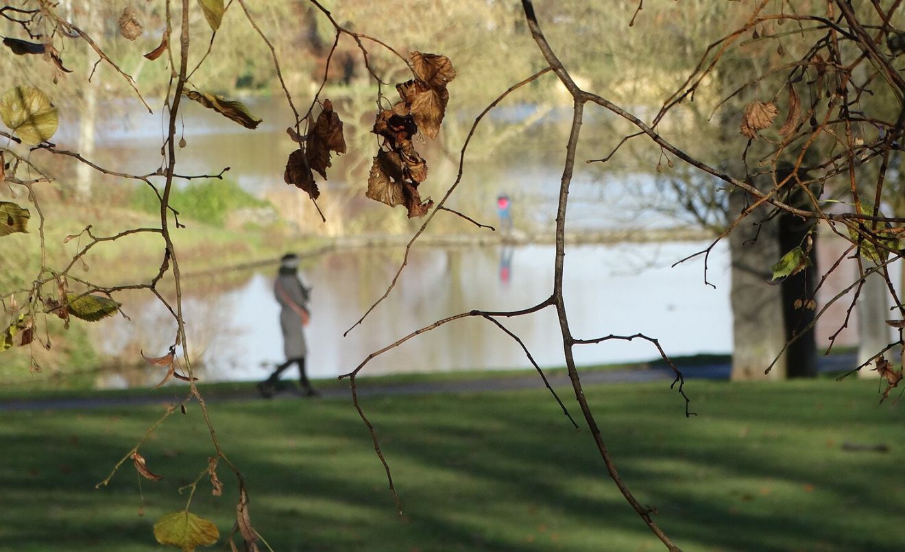 A la tardor els dies són més curts i cauen les fulles de molts arbres. (Latimision / Wikimedia Commons)